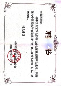 常务理事