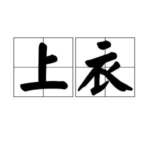 上身穿的衣服.