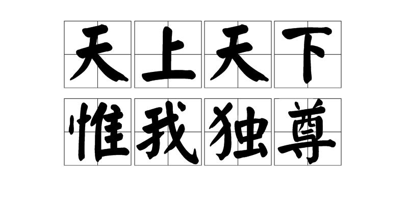 天上天下唯我独尊