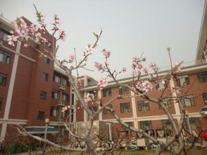 山东力明科技职业学院