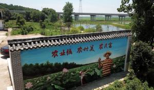 江西省共青城市金湖镇