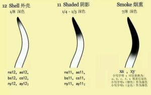 毛色解释图