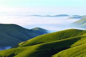 宁夏云雾山国家级自然保护区
