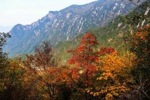 大明山风景区秋色
