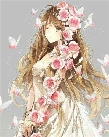 百合花庭 搜狗百科 百合花庭 搜狗百科