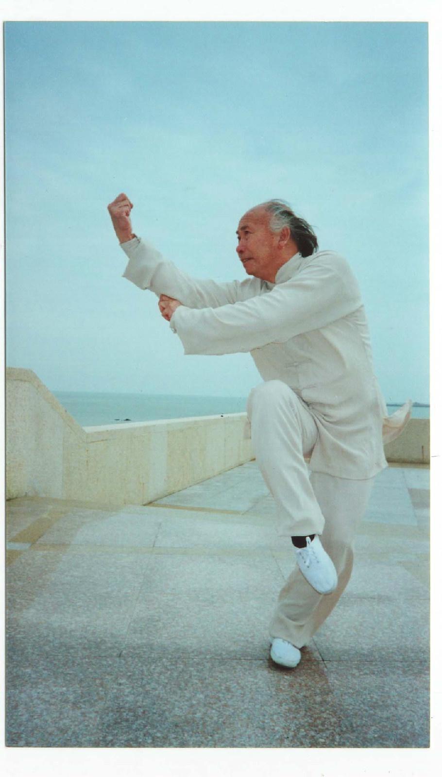 螳螂拳 中国传统武术流派之一 搜狗百科