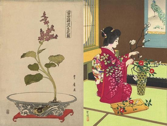 日本花道 搜狗百科