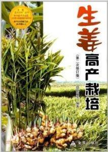 生姜高产栽培 搜狗百科