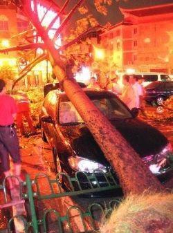 台风龙王 2005年第19号超强台风 搜狗百科