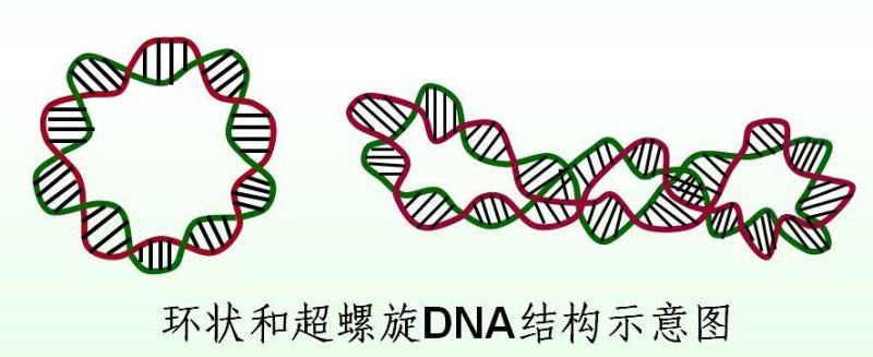搜狗百科