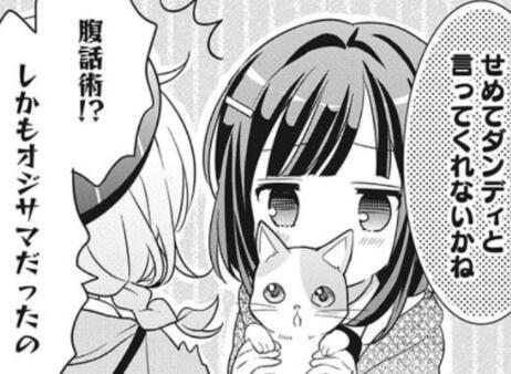 风衣叶冬优 搜狗百科