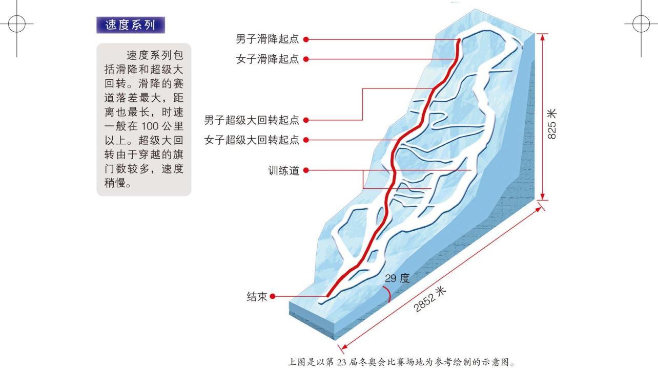 大回转 雪上竞技项目 搜狗百科