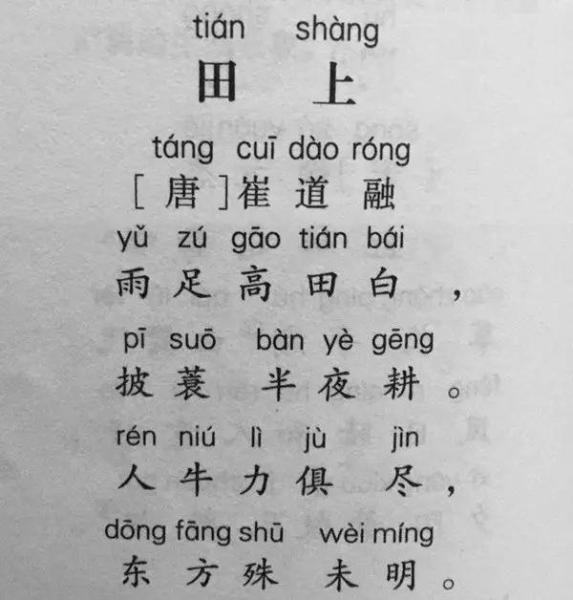 图册：田上