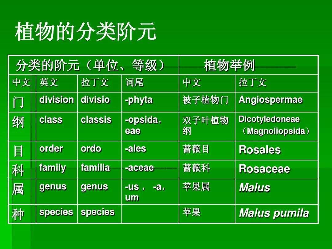 生物学分类有哪些 0