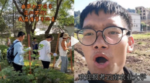 视频截图
