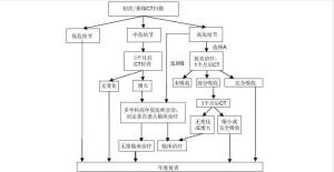 初次扫描实性肺结节处理流程