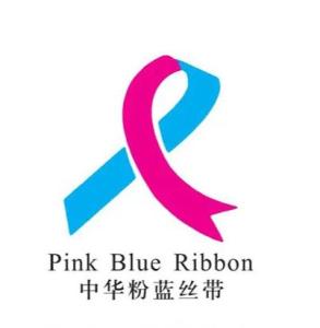 粉蓝丝带
