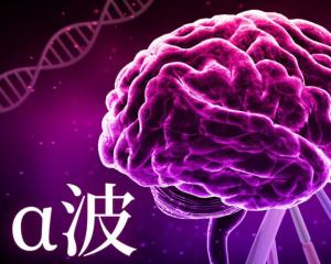 音乐的作用是什么 300