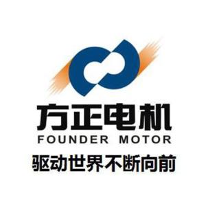 方正电机股份股票最高多少 300
