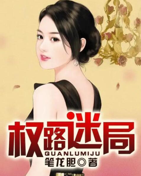 《权路迷局：靠近权力的代价》