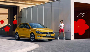 Polo Plus