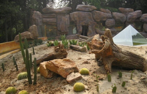 细尾獴馆