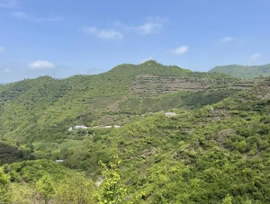 两当县