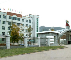 两当县
