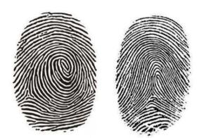 有开口,如高山流水般的纹路,一般开口朝向同一只手小指方向的为正箕纹