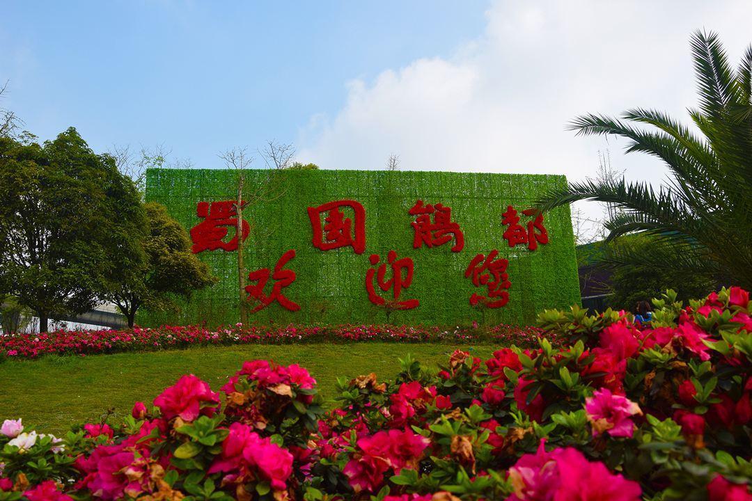 郫筒街道—蜀国鹃都