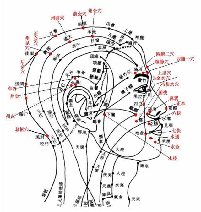 氏是什么结构 0