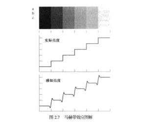 马赫带现象
