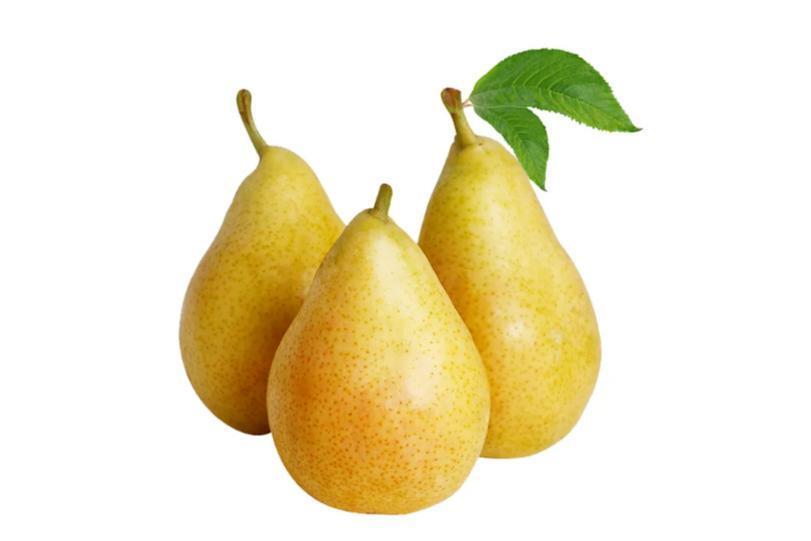 葫芦梨(葫芦科葫芦属植物)