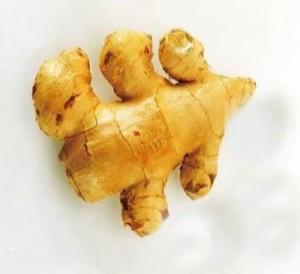 食材