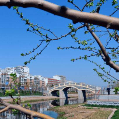 河南郸城县
/河南郸城县是哪个市-图1 河南郸城县
/河南郸城县是哪个市-图1