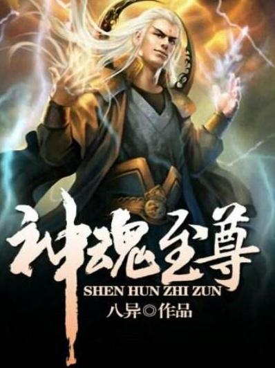 双生至尊小说 0