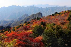 顺平县