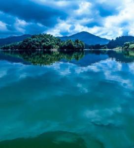 盈江县 搜狗百科