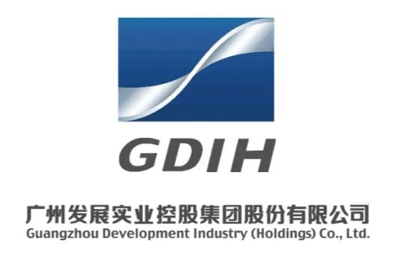 什么是集团什么是有限公司 0