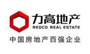 赛迪集团全称 300