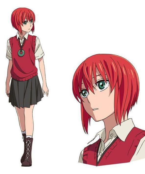 魔法使的新娘合集普通话 0