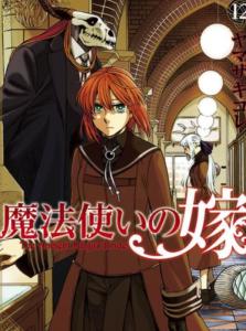 魔法使的新娘解析 300