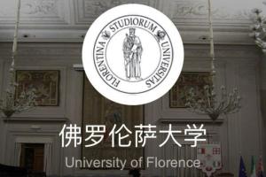 佛罗伦萨大学