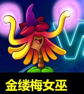 金缕梅女巫