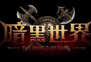 全球网络游戏公司 300