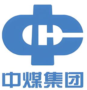 什么是集团有限责任公司 300
