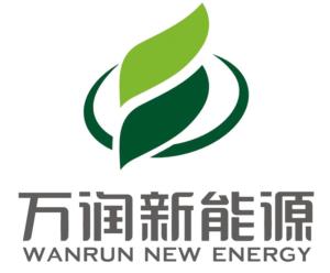 科技新能源公司 300