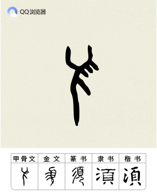 须 _ 百科