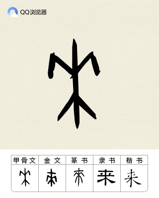 来-字形演变