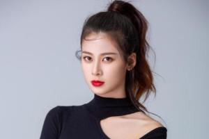 赵昭仪
